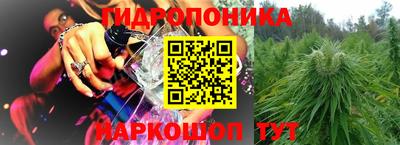 прущие грибы Волжск