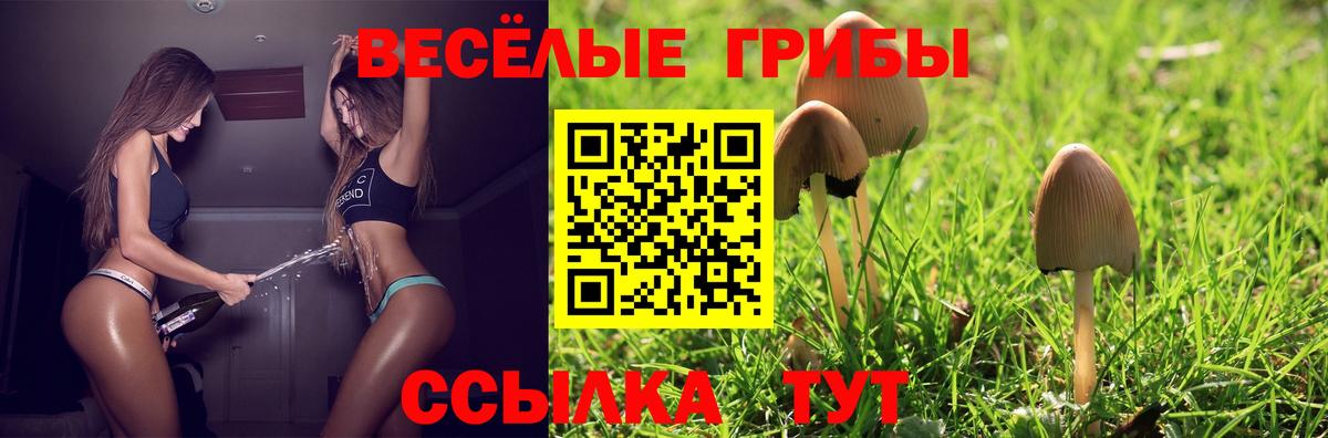 Галлюциногенные грибы Psilocybe  Вход с VPN  Саки 