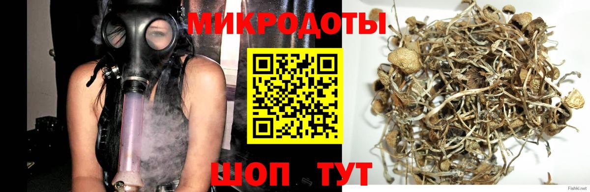Псилоцибиновые грибы прущие грибы Саки
