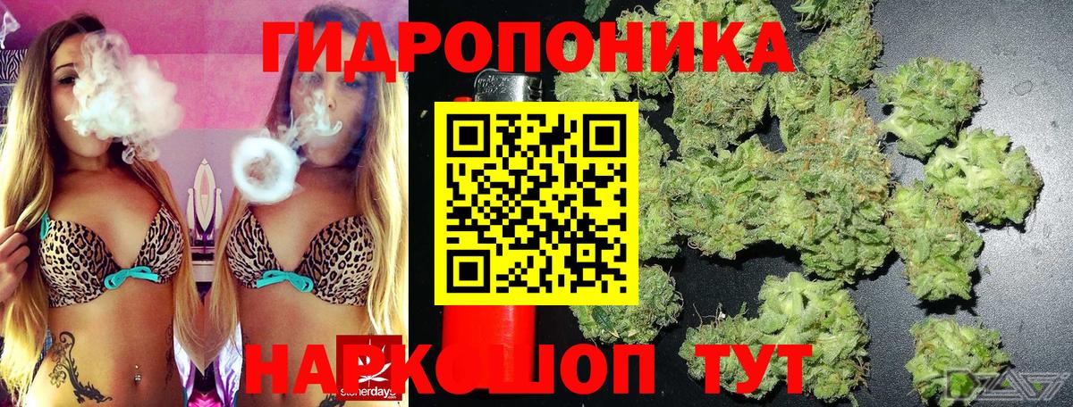 Бошки Шишки тримм Саки